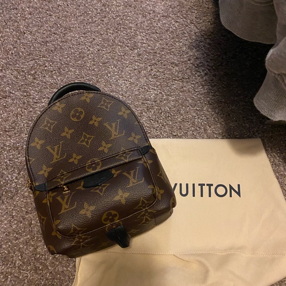 Louis Vuitton Palm Springs mini - Picture 1 of 9